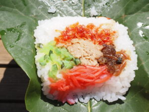 クオーレふれあいの里の朴葉寿司