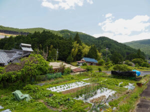 『きらりきりい』の付近の様子