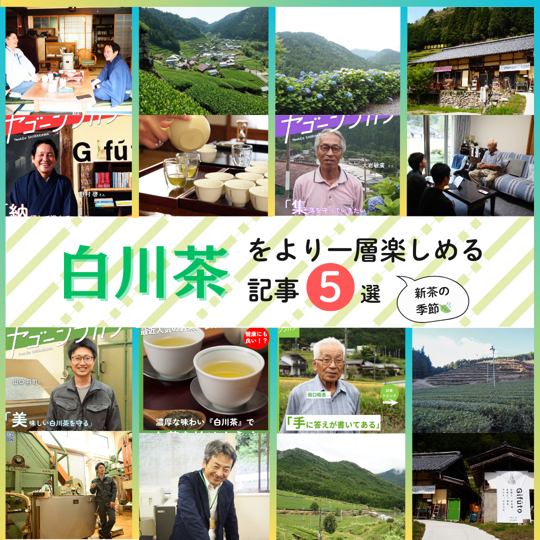 ヤゴーシラカワの写真(岐阜県白川町)