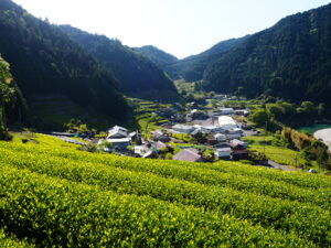 いつ子さんが暮らす白川北地区の葛牧(くずまき)という地域の様子