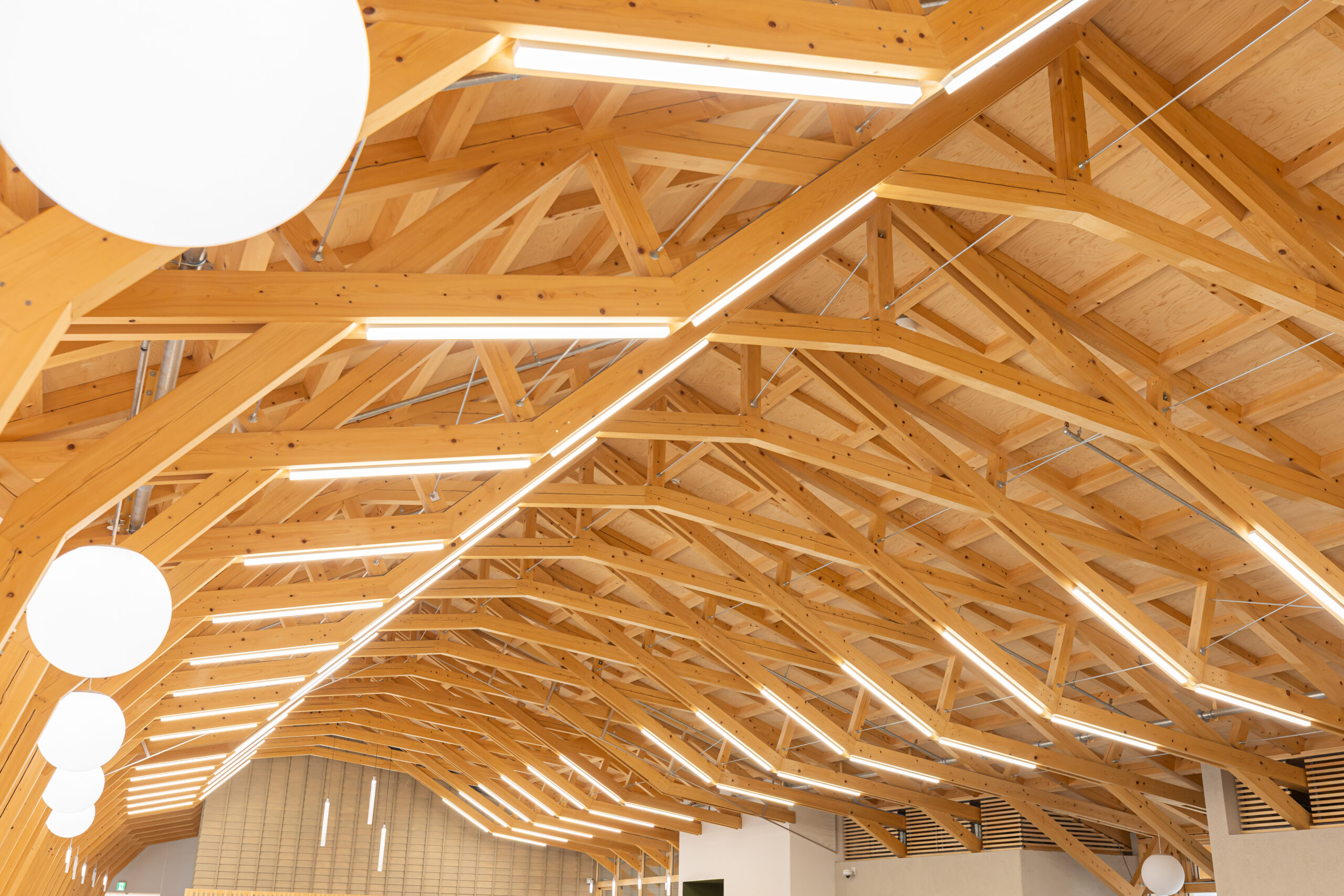 館内でいちばん目を引く天井部分