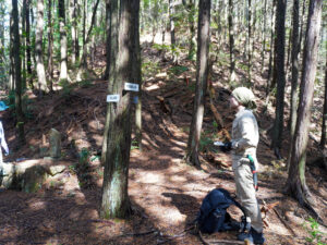 大岩巣山頂への道と、室山の小学生が使っていた旧道『室山横手』の分かれ道