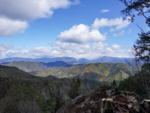 展望台からの眺め
