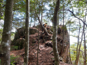 大岩巣を上っていく清水さん