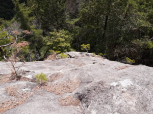 岩を上から見下ろした様子