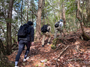登山道を上る様子