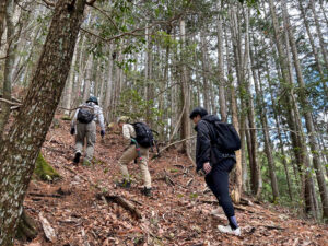 登山道を上る様子