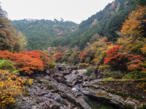 笹本さんがお気に入りの場所という佐見地区の『紅葉橋』