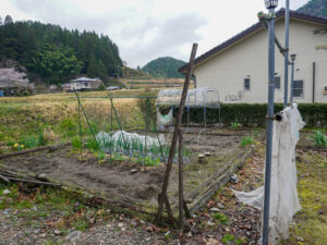 大井田さんが住むコテージの畑の様子