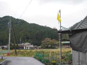 大井田さんの家の前に立つ黄色い旗