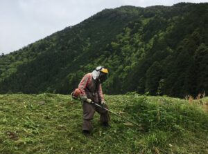 草刈りをする大井田さん